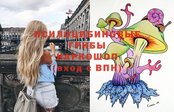 МДМА Белокуриха